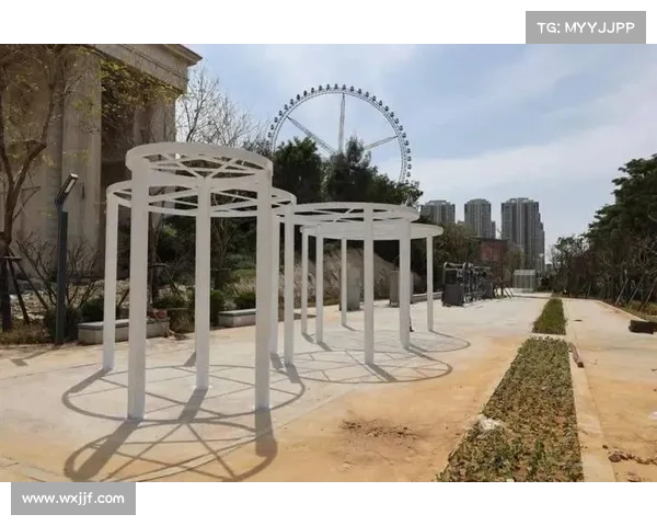 中国首个板球主题公园落户重庆 助力体育产业新突破 中国首个板球主题公园落户重庆 助力体育产业新突破