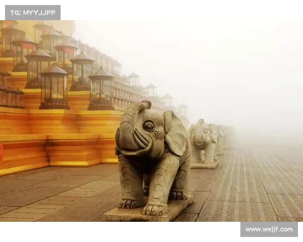 机器人武者登峨眉山 古殿太极展现科技与传统武术融合新风貌