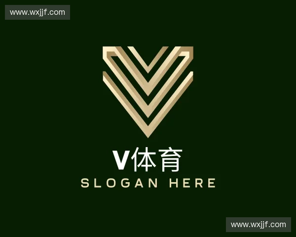 关于V体育中国官网